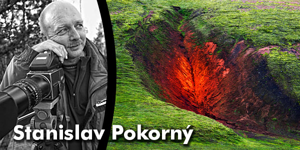 Stanislav Pokorný - limitované edice obrazů